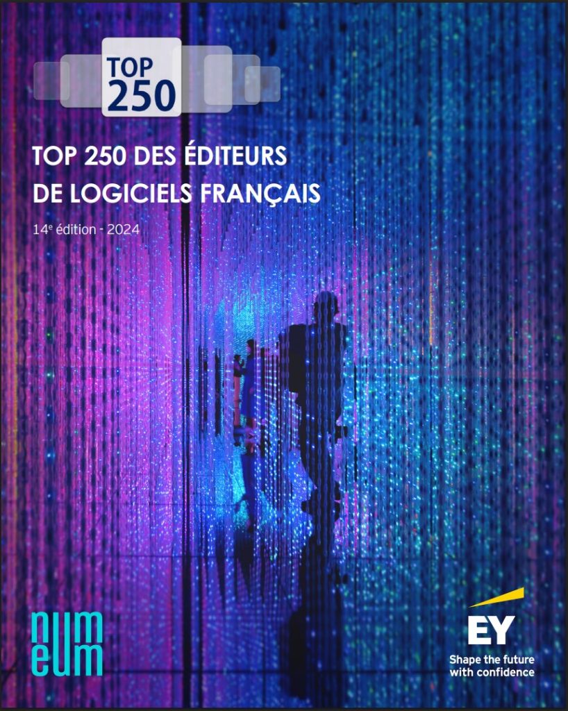 Etude Top 250 2024 des éditeurs et créateurs de logiciels français : une solide dynamique pour le secteur