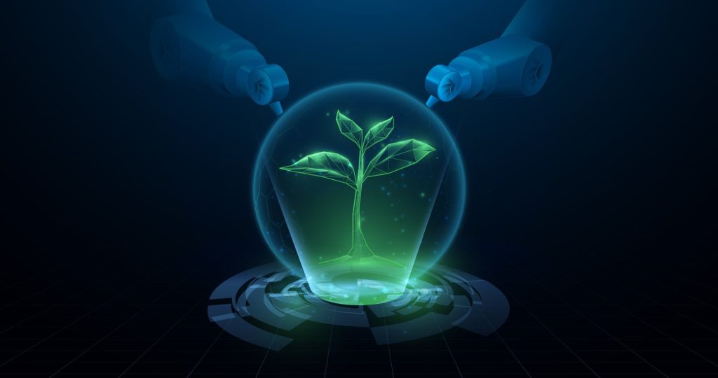 Rapport « AI for Green & Green AI »